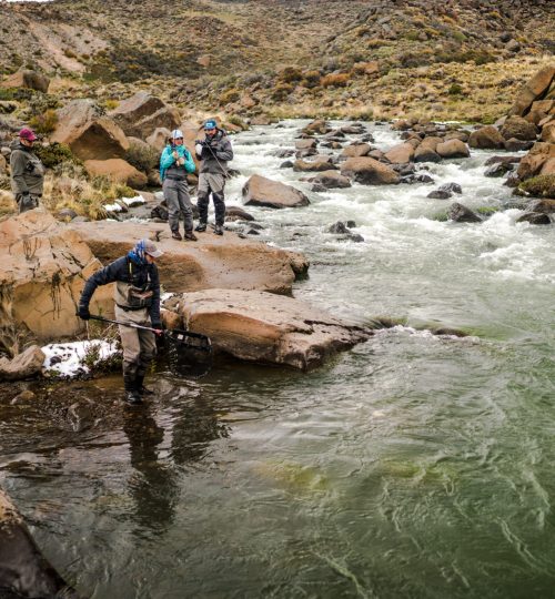 untitled (106 of 419)