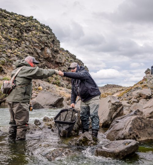 untitled (173 of 419)