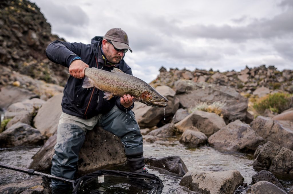 untitled (175 of 419)