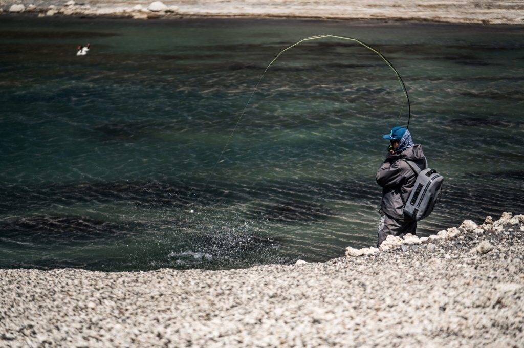 untitled (199 of 419)