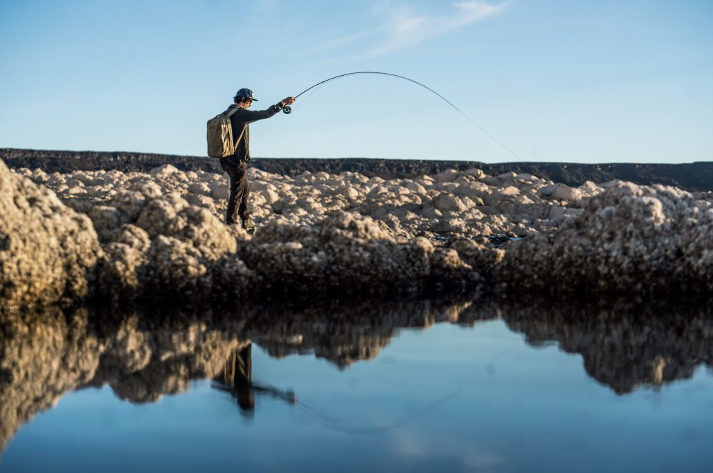 untitled (207 of 419)