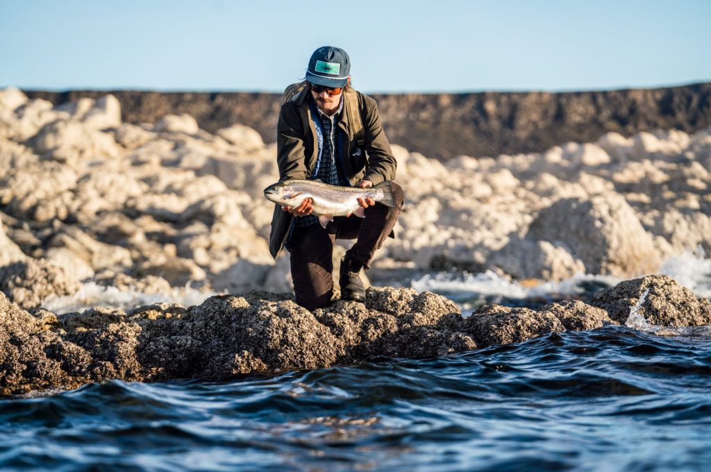 untitled (211 of 419)