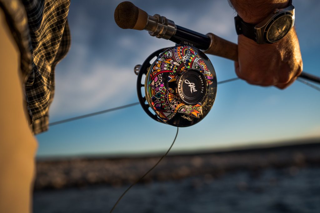 untitled (239 of 419)