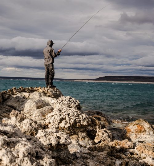 untitled (247 of 419)