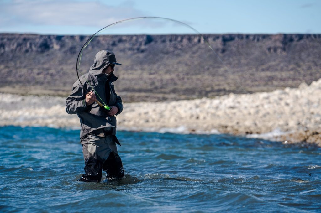 untitled (259 of 419)