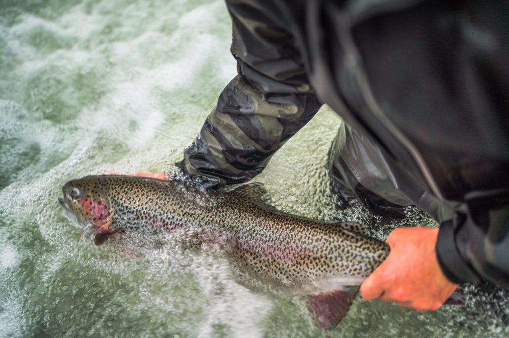 untitled (27 of 419)