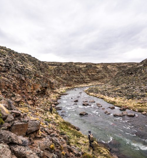 untitled (280 of 419)