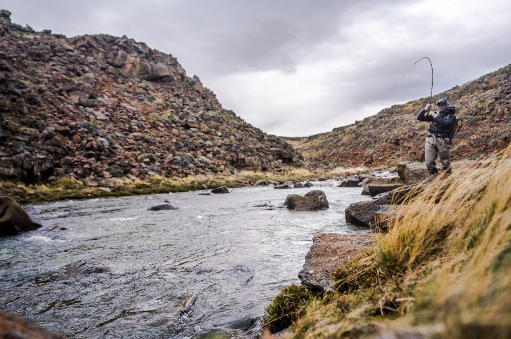 untitled (294 of 419)