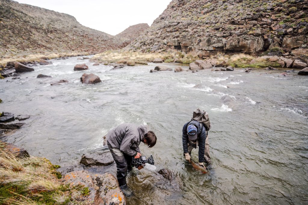 untitled (300 of 419)