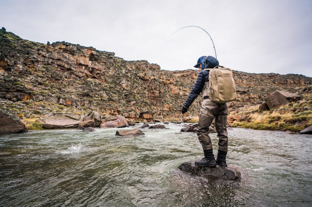 untitled (318 of 419)