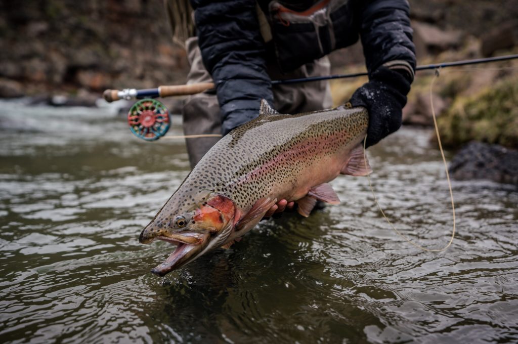 untitled (336 of 419)