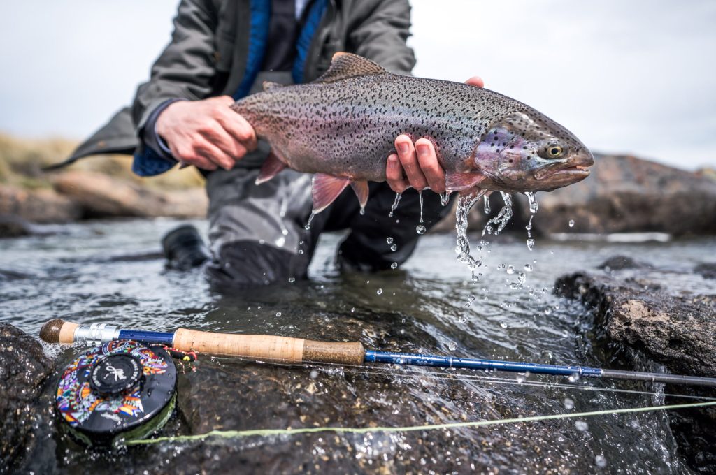 untitled (352 of 419)